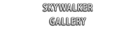 Skywalker Gallery